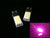 COB/CHIPS ON BOARD LED Bulbs. Bright White | Blue | Red | Green | Pink